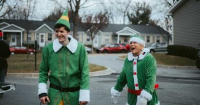 Christmas Holiday 390x205