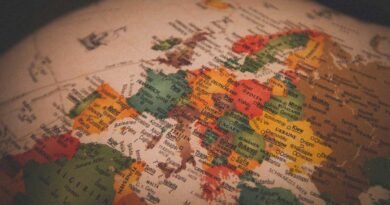 Globe 390x205