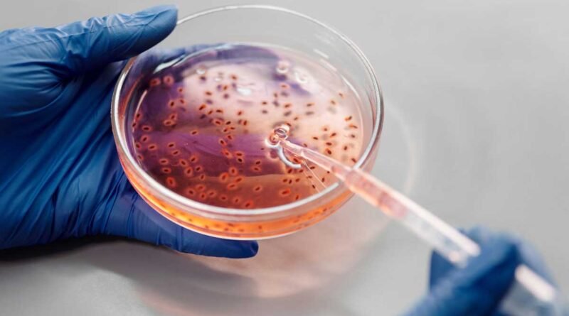 Disease detective tracks an invisible virus Invisible Virus 1 800x445