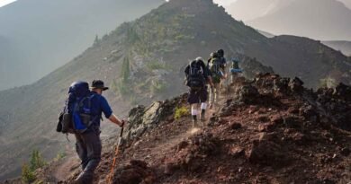 Mountain Travel 390x205