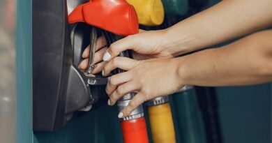 Petrol Pump 390x205