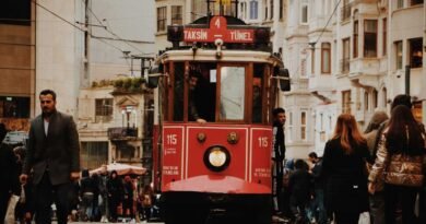 Train 390x205
